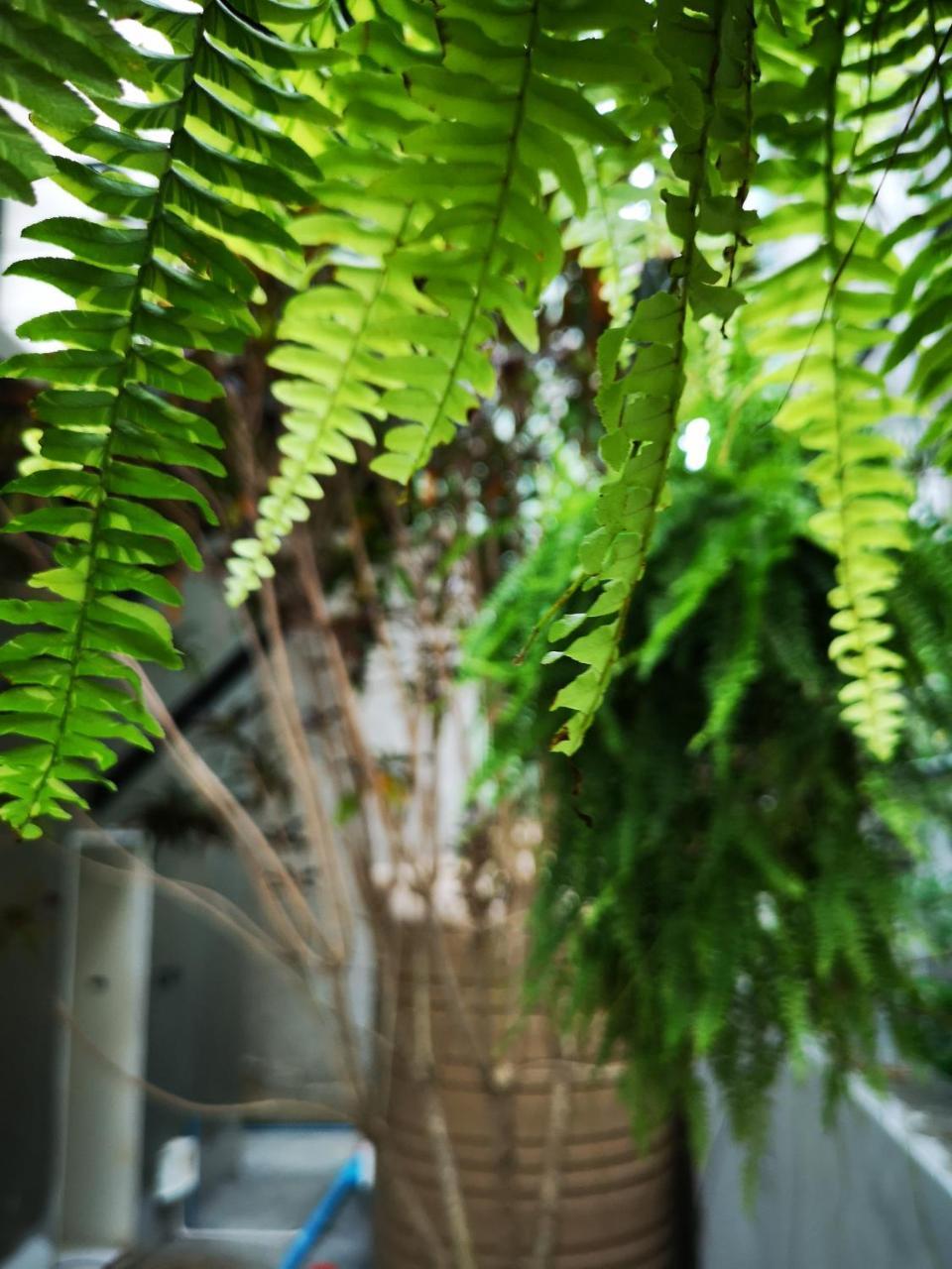 Get Guesthouse 2 Hat Yai Bagian luar foto